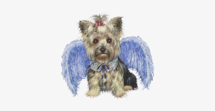 Share This Image - Precious Pet Paintings 3.33-in X 2.33-in Yorkshire, transparent png #293806