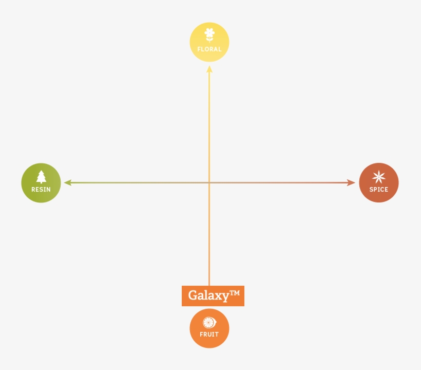 Galaxy Australia Pellets - Diagram, transparent png #293842