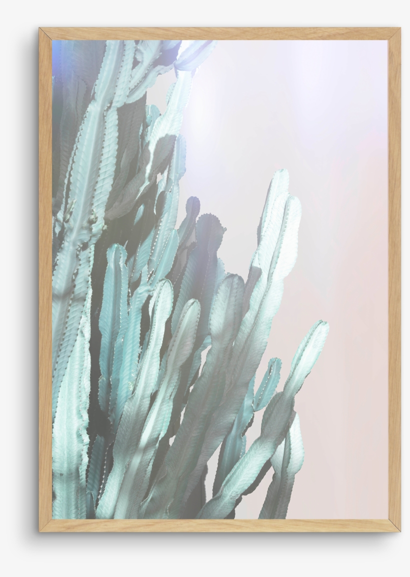 Dreamy Cactus No 1 Dreamy Cactus No 1 - Cactus, transparent png #294092