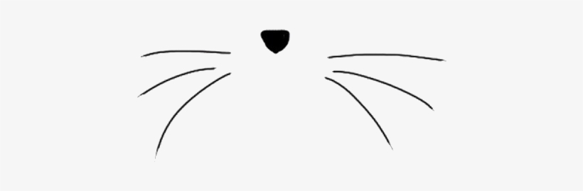 Png Transparent What Does Blog Look Like Via Tumblr - Cat Whiskers Gif Png, transparent png #294115