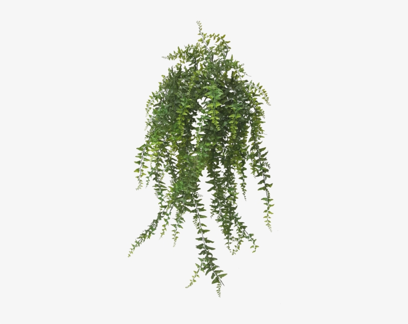 Share This Image - Portable Network Graphics, transparent png #294320