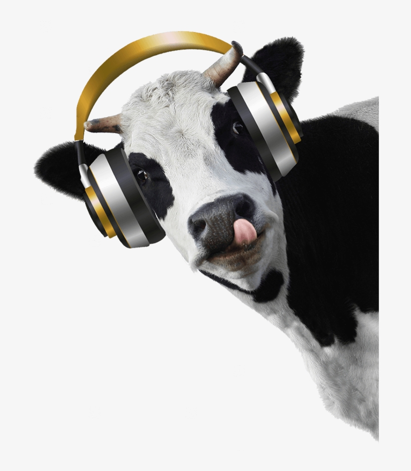 Cow Head Transparent Background, transparent png #294428