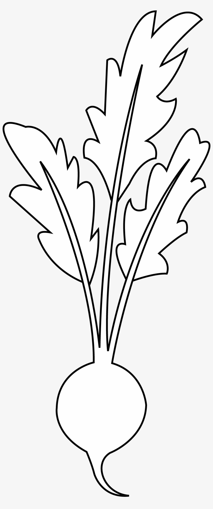 Clip Art Freeuse Line Of Floor Cloth Project Pinterest - Beet Black And White Clipart, transparent png #294541