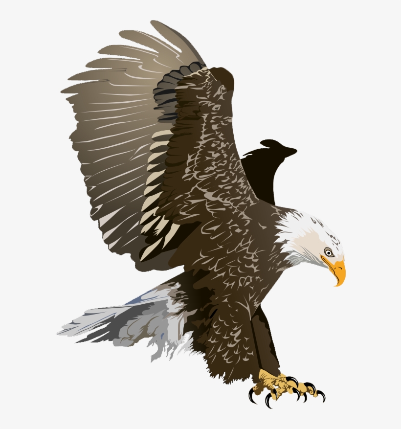 Realistic - Bald Eagle Free Clipart, transparent png #294839
