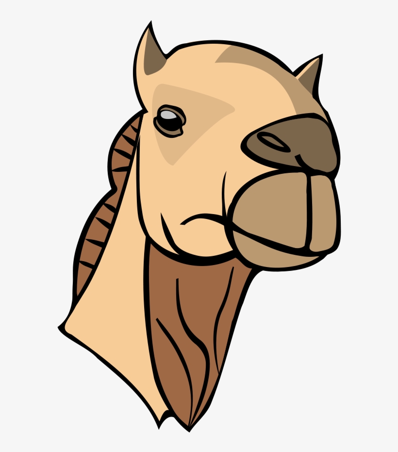 Camel Head Clipart Png, transparent png #294976