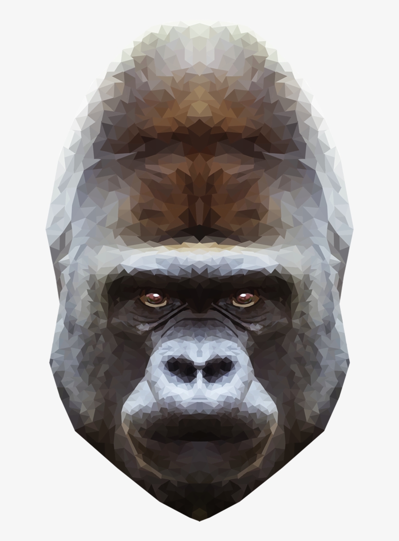 Emmasimoncic - Tumblr - Com - Low Poly Gorilla Illustration - Primate, transparent png #295301