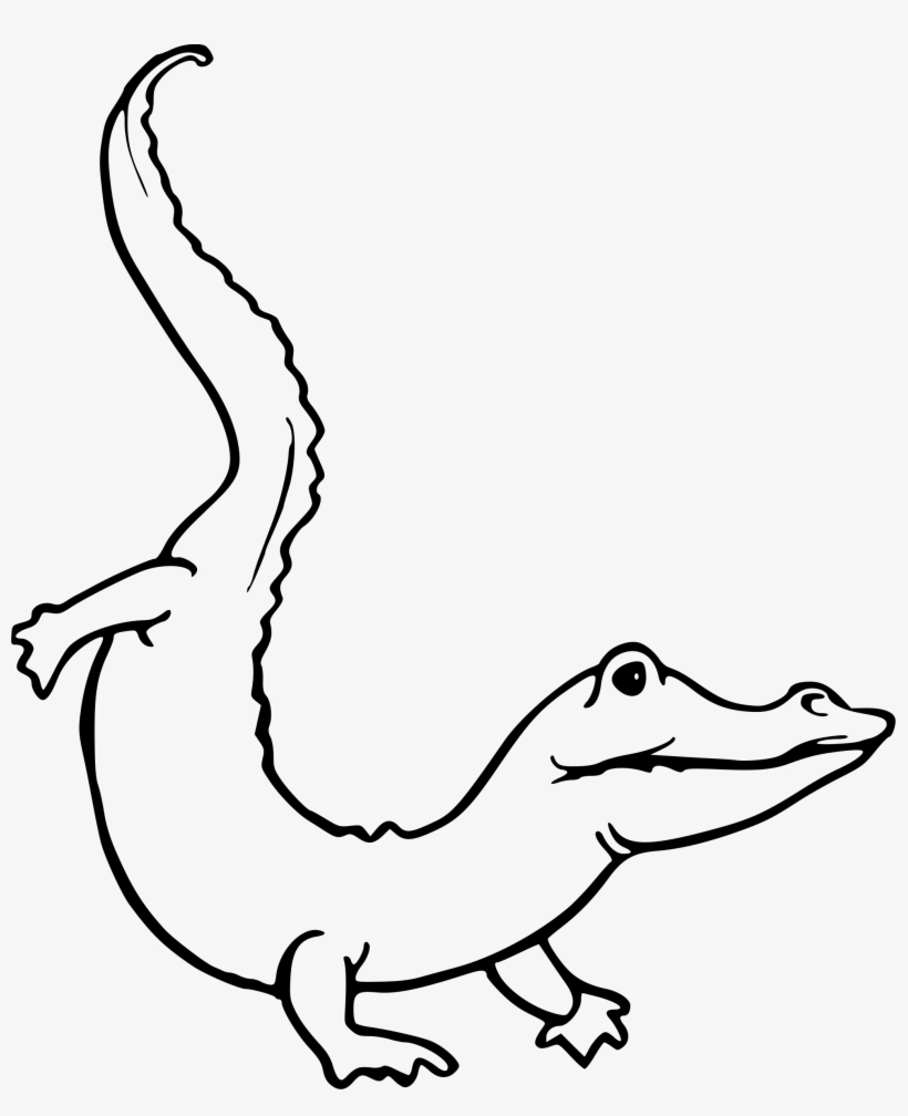 Free Stock Alligator Outline Drawing At Getdrawings - Caiman De Anteojos Para Dibujar, transparent png #295441