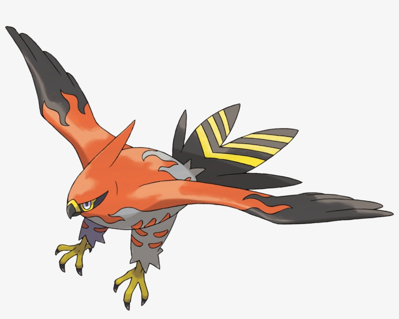 663talonflame - Pokemon 663, transparent png #295540