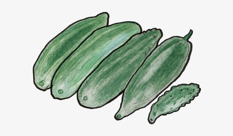 Saba Banana, transparent png #296217