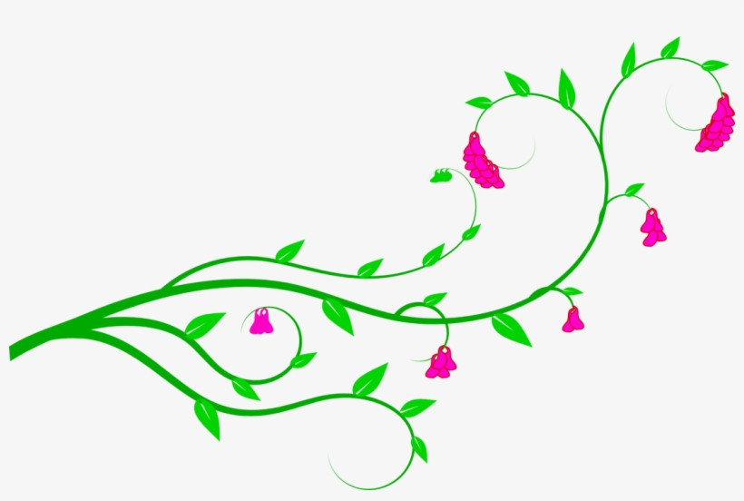 Graphic Transparent Library Flower Vine Download Clip - Vines And Flowers Clip Art, transparent png #296722
