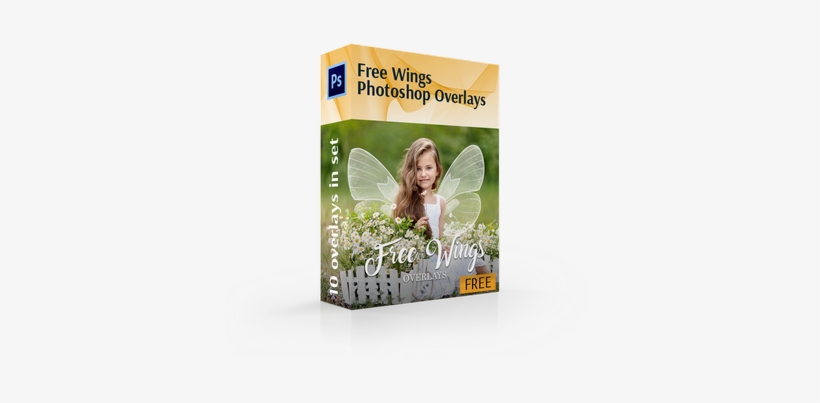 Fairy Wings Overlay Free Cover Box - Adobe Photoshop, transparent png #297412