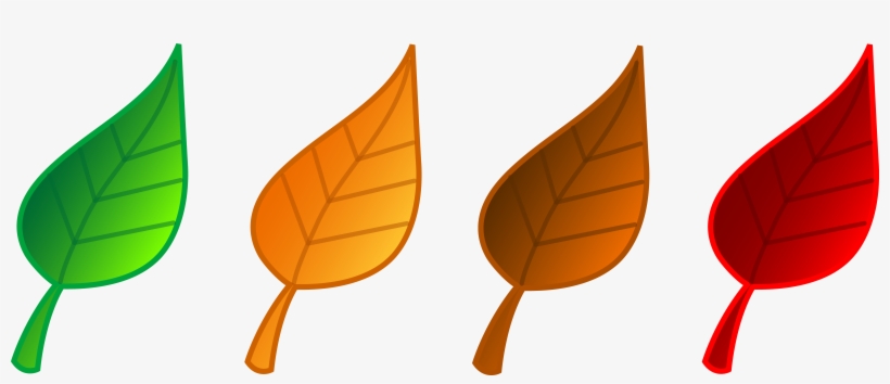 Clip Art Fall Leaves - Set Of Leaves Clipart, transparent png #297808