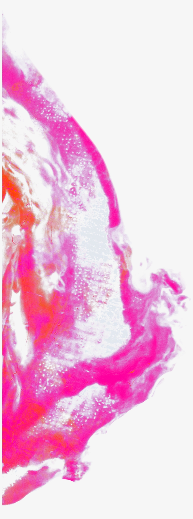 Nucelus Trail 3, transparent png #297985