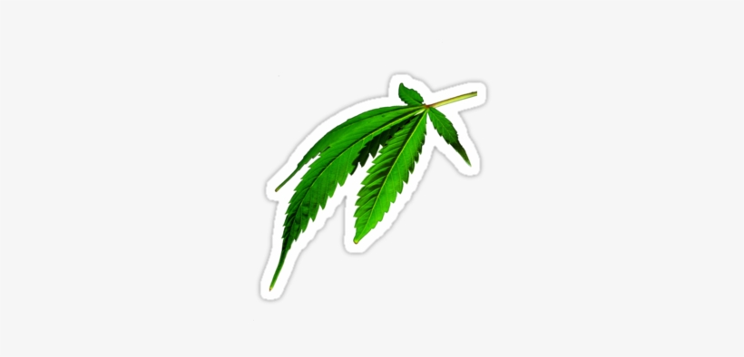 Red Weed Leaf Png - Marihuana Tapety Na Pulpit, transparent png #298403