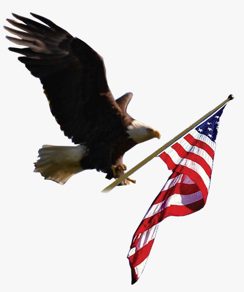 Logo - Eagle And Flag Png, transparent png #298466