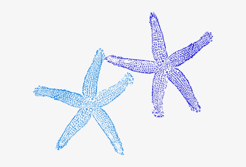 Blue Starfish Png - Blue Starfish Clip Art, transparent png #298531