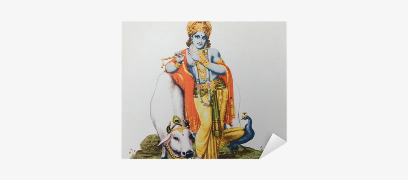 Image Of Hindu God Krishna With Cow, Peacock , Flute - Lord Krishna With Cow, transparent png #298584