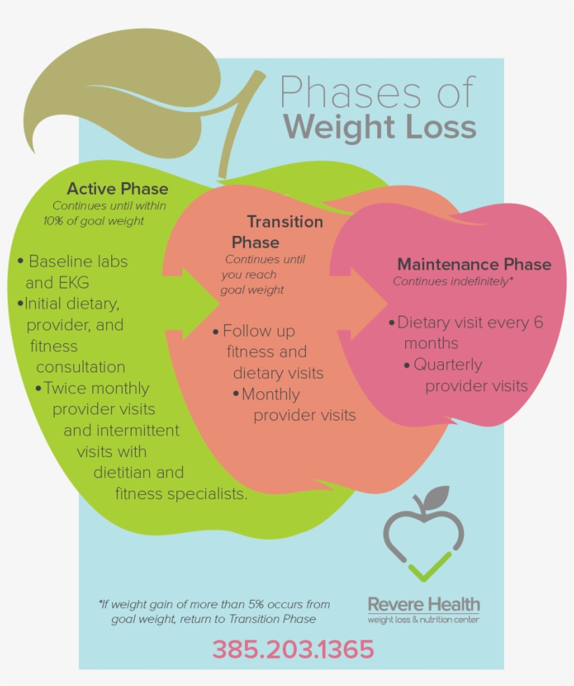 Clinic Specialties - Phases Of Weight Loss, transparent png #299571