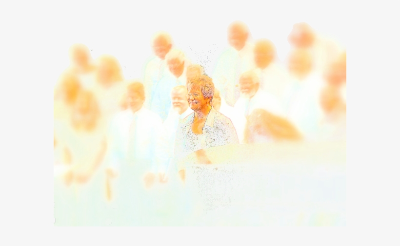 Vocal Music Director At Tallahassee Community College - Floral Design, transparent png #299760