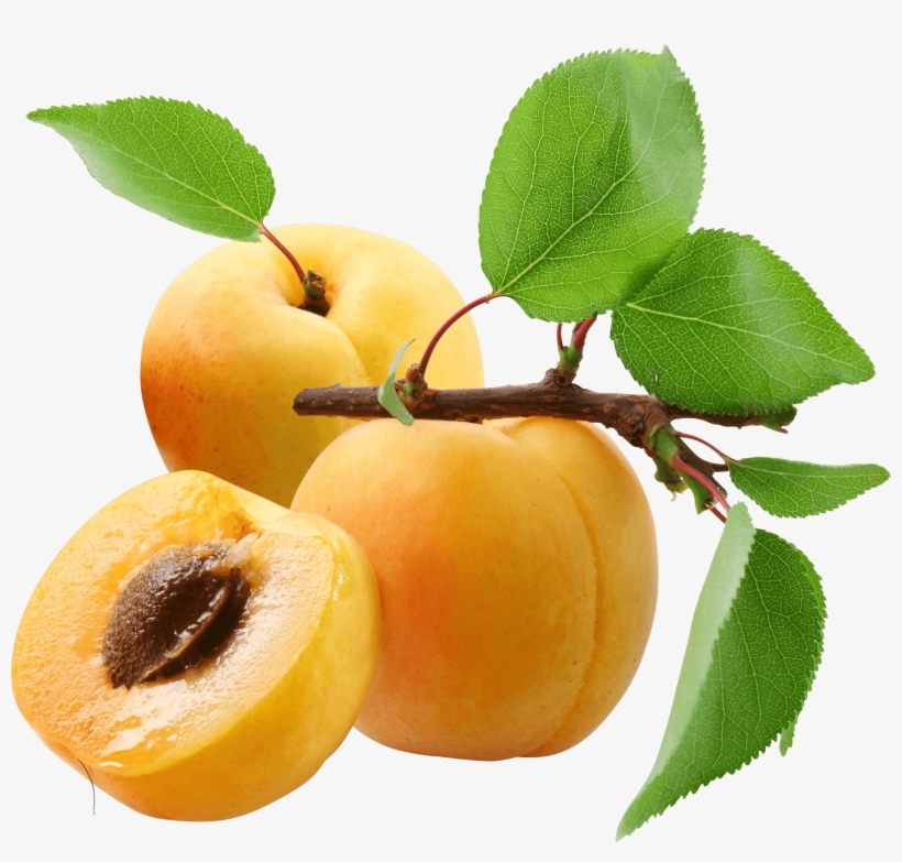 Three Peaches - Hugo Boss - Boss The Scent For Her Eau De Parfum 100ml, transparent png #299861