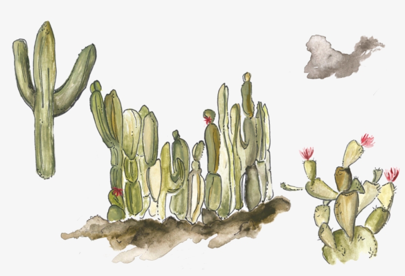 Prev / Next, transparent png #299885