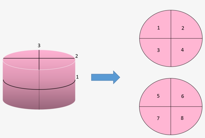 Cut A Cake Into 8 Pieces - Circle, transparent png #2900148