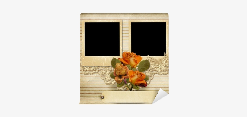 Vintage Gorgeous Background With A Polaro - Photograph, transparent png #2900323