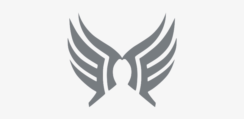 23rd Imperial Guard Platoon "wings Of Honor" - Sci Fi Wing Transparent, transparent png #2901051