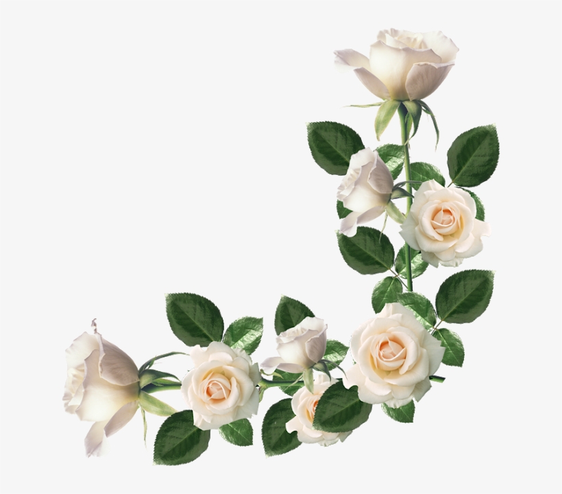 Rosas Diversas Png - Love Songs (columbia/legacy), transparent png #2901318