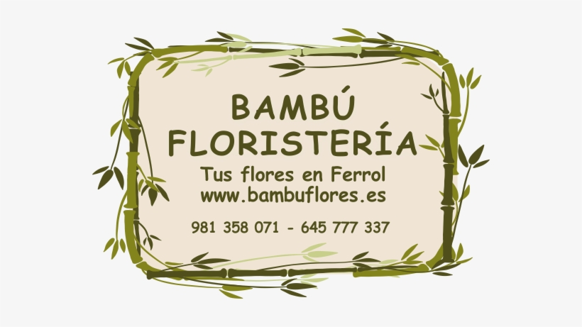 Tu Floristería Online En - Cut Flowers, transparent png #2901422