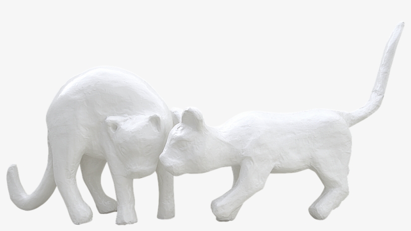 Plaster,white Cats,cats Plaster,white - White, transparent png #2902622