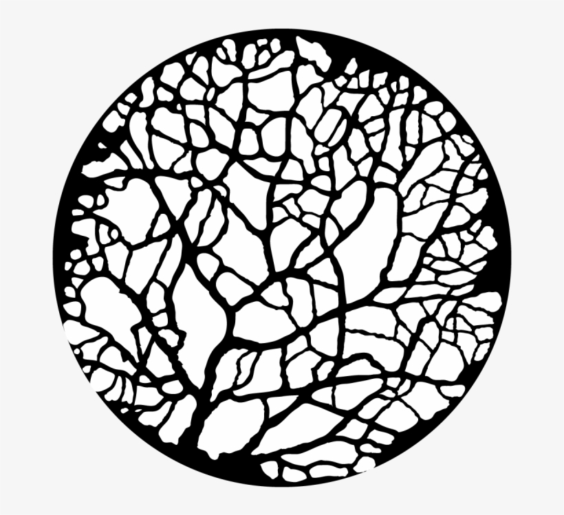 Tree - Budding - Thin, transparent png #2902935