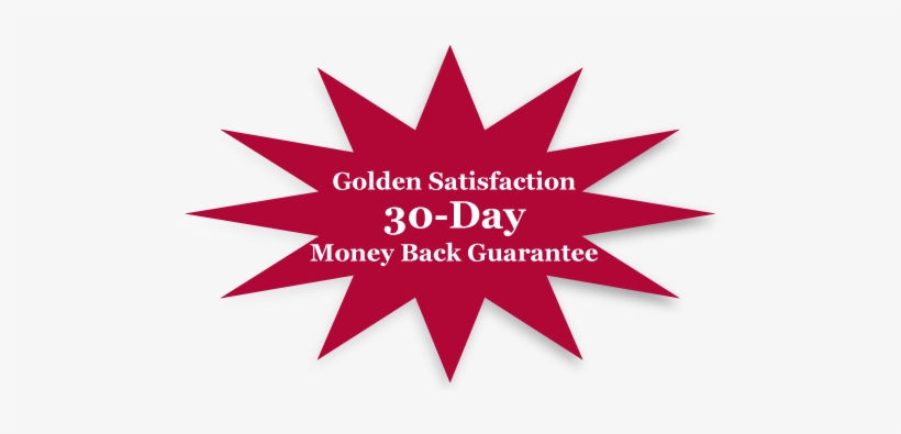 Full - Vector Graphics, transparent png #2903129