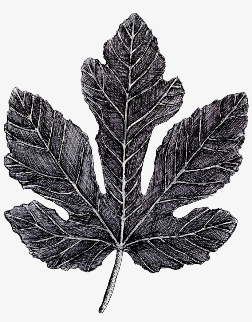 Design, transparent png #2903669