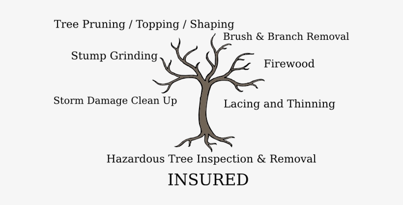 Tree Service - Tree With Roots And No Leaves, transparent png #2903744