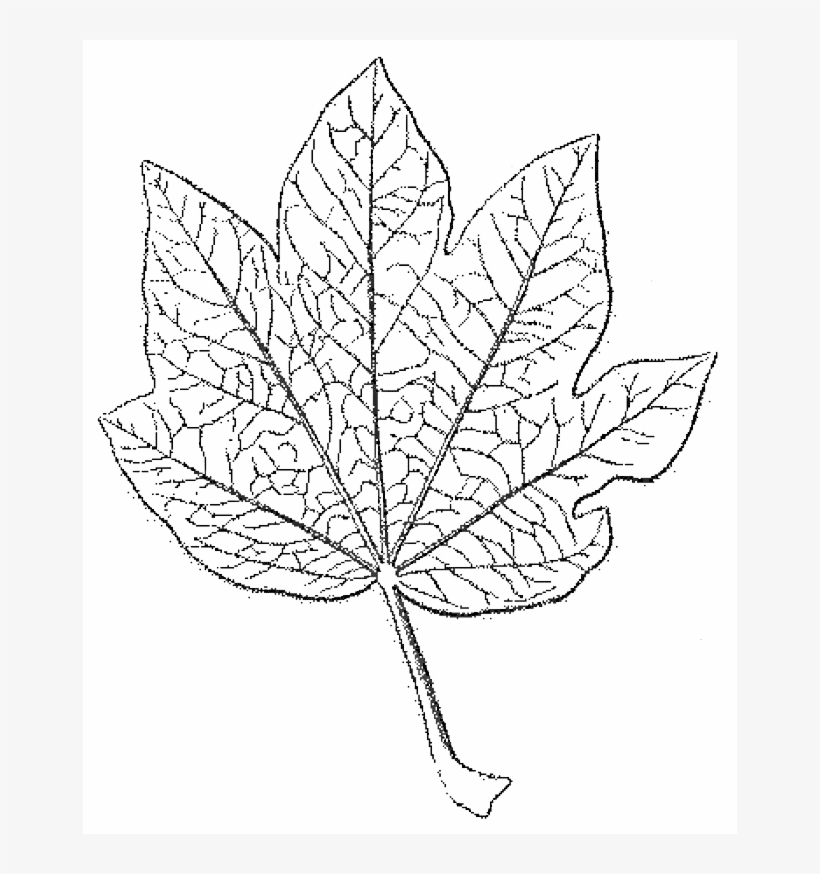 File - La Nature - 1877 - S2 - P124 - Les Périodes - Line Art, transparent png #2903775