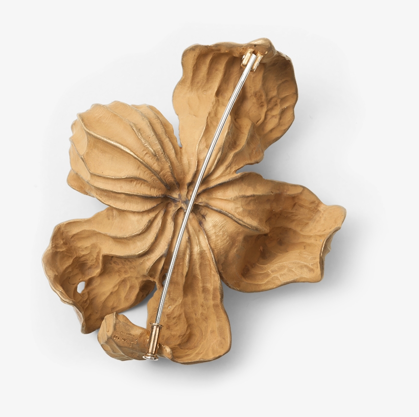 Hemmerle Brooch In The Shape Of A Physalis Back Side - Peruvian Groundcherry, transparent png #2903868