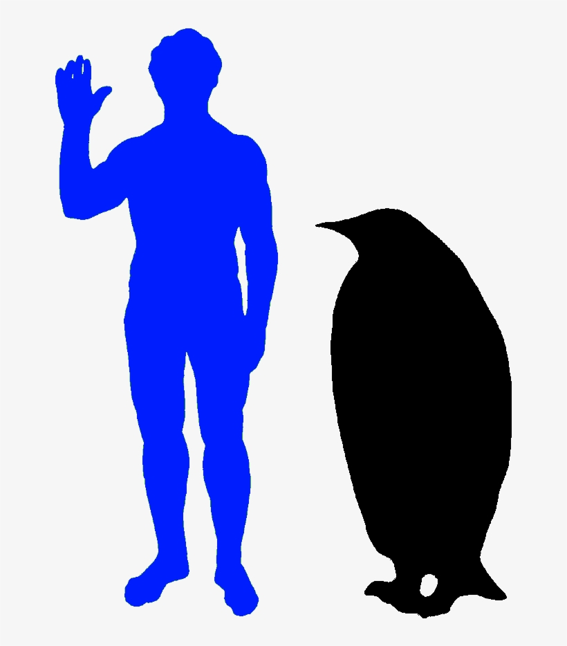 The Emperor Penguin Is The World's Biggest Penguin - Dromaeosaur Size, transparent png #2904002