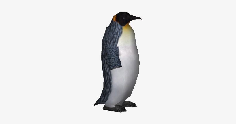 King Penguin - King Penguin Png, transparent png #2904049