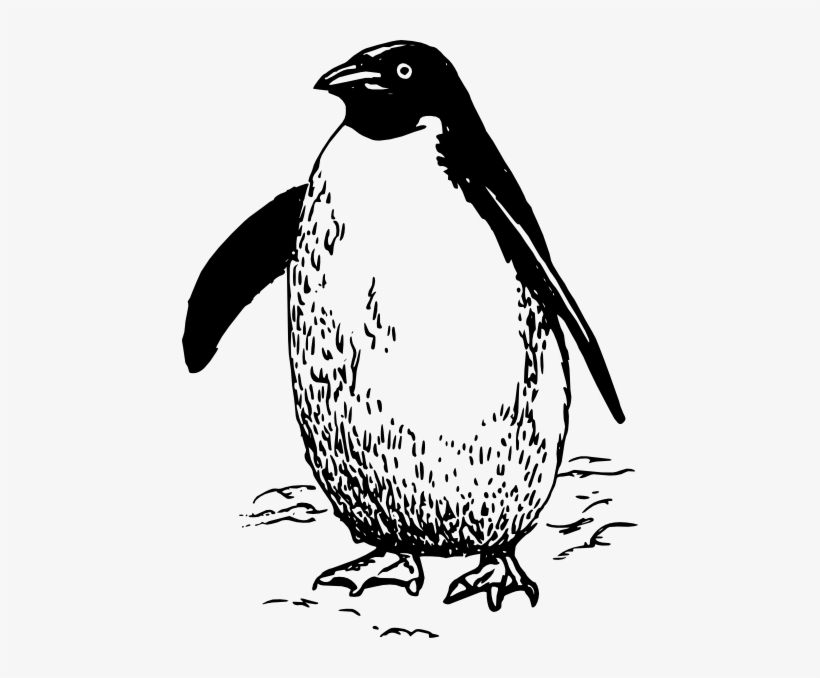 Emperor Penguin Clipart Black And White - Penguin Black And White Clip Art, transparent png #2904051