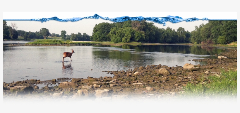 Toledo Waterways Initiative - Loch, transparent png #2904136
