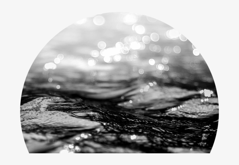 Water Management - Written River By Jason Kirkey 9780997592719 (paperback), transparent png #2904156