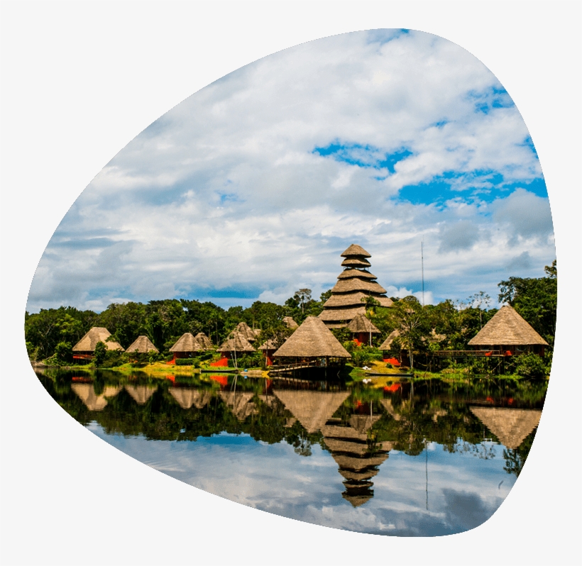 5 Days 4 Nights - Napo Wildlife Center Ecolodge, transparent png #2904186