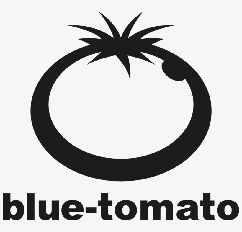 Square Outline - Logo Blue Tomato Png, transparent png #2904325