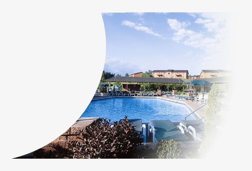 We Offer A Variety Of Different Music Venues - Villa Roma Zip Line, transparent png #2904326