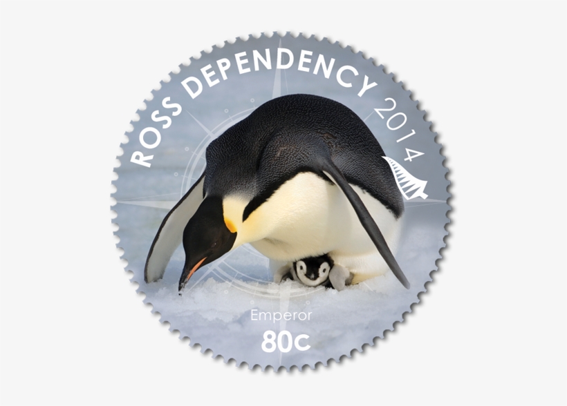 Product Listing For 2014 Ross Dependency - Jpeg, transparent png #2904440