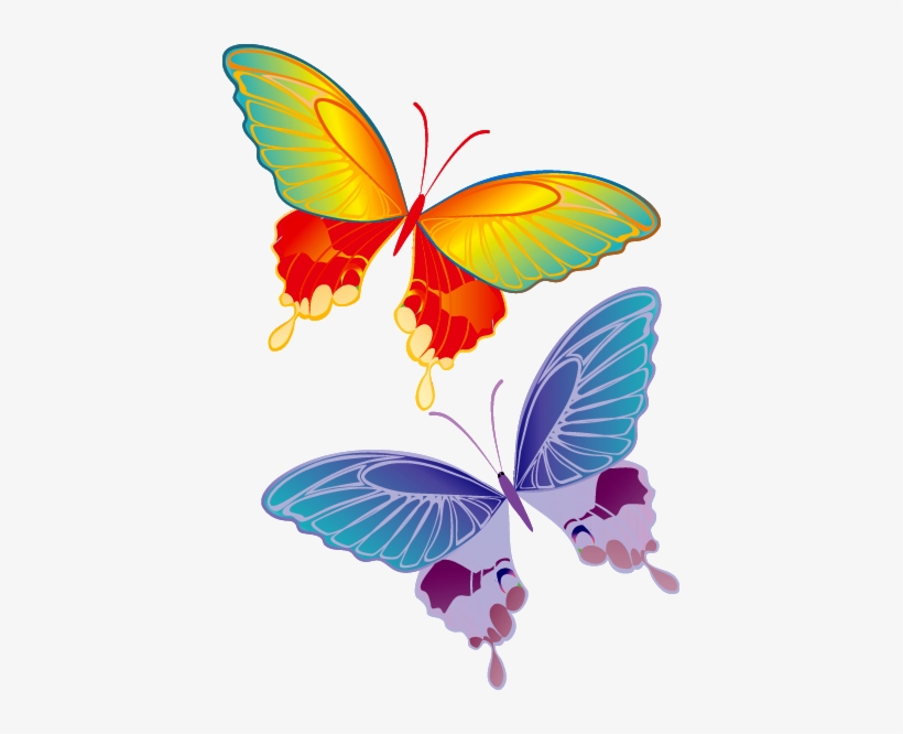 Borboletas Png - Real Colorful Butterfly Flying, transparent png #2904783