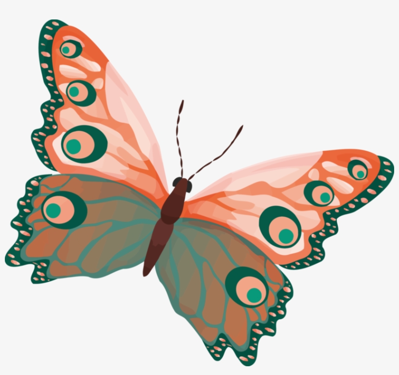 Monarch Butterfly Insect Borboleta Download - Dibujos Mariposa A Colores, transparent png #2904910