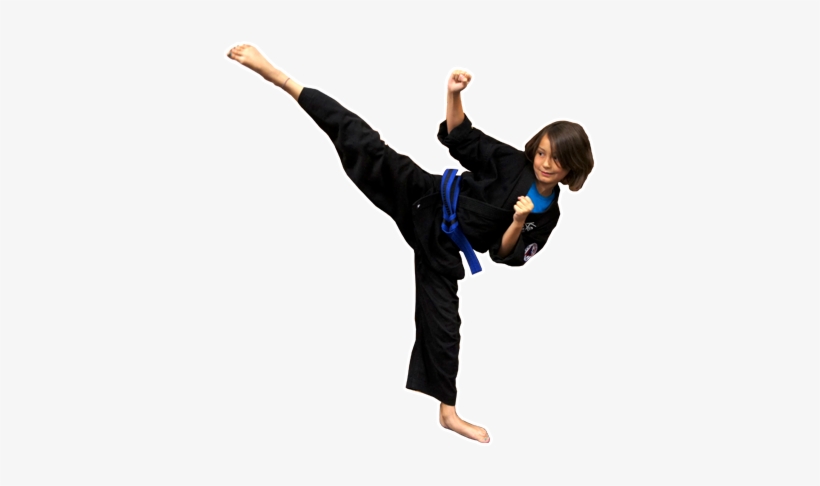 Martial Art Video Training, transparent png #2905586