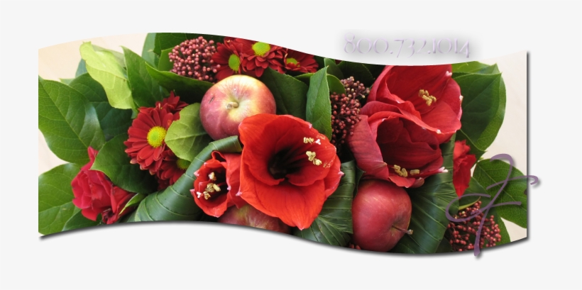 Christmas Flowers Baltimore Cockeysville Towson - Flower Bouquet, transparent png #2906738
